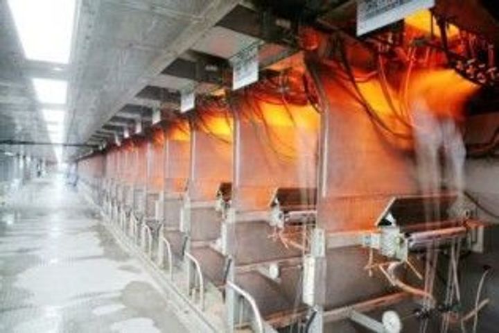 A Complete Guide to Fiber Glass Manufacturing: Details, Facts, and Suggestions