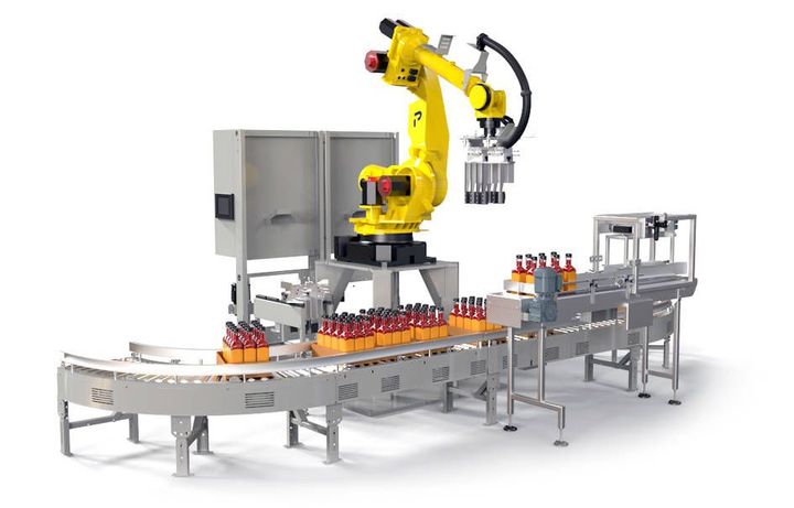 Robotic Case Packing Systems: From Products to Packed Cases