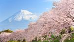 Hanoi to Tokyo Flights and Traveling Guide